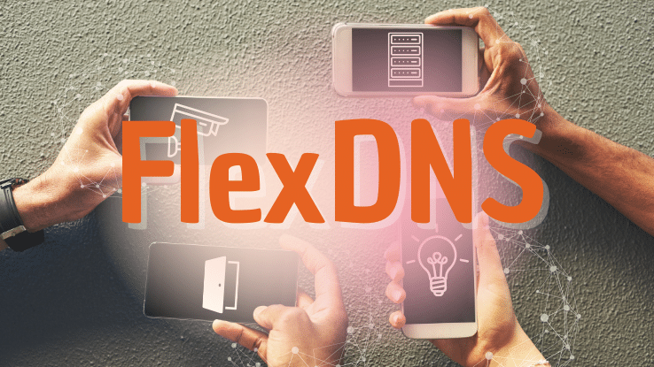 FlexDNS (dynamische DNS) erklärt